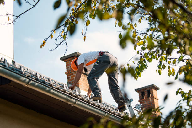 Best Roof Maintenance and Cleaning  in Comstock Northwest, MI