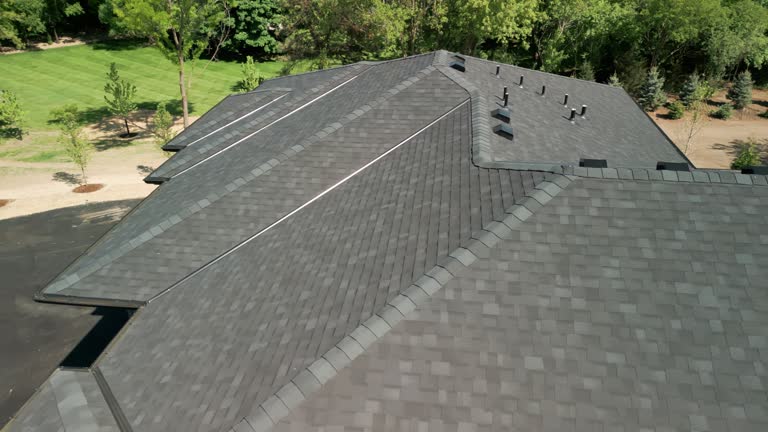 Best Skylight Installation and Repair  in Comstock Northwest, MI