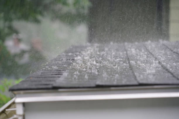 Best Roof Installation  in Comstock Northwest, MI