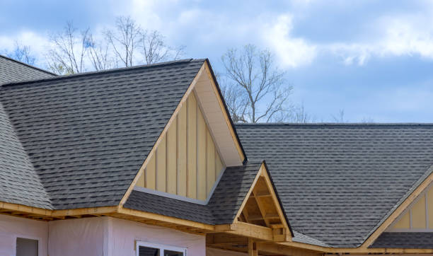 Best Roof Coating and Sealing  in Comstock Northwest, MI